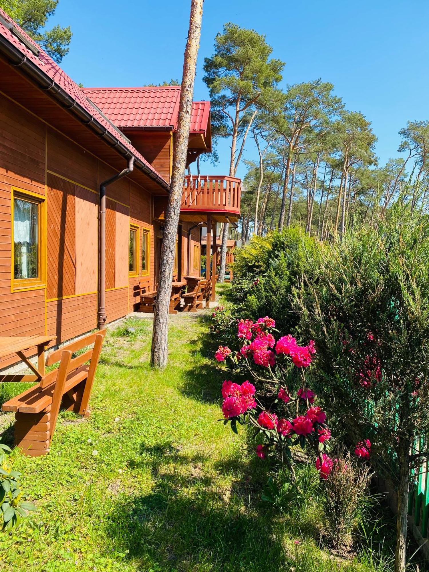 Morska Przystan Apartamento Dziwnówek Exterior foto